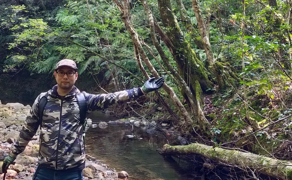 ヘビ捕獲サイト