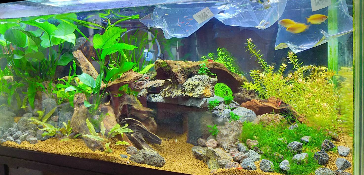 徳留アクア工房メイン画像